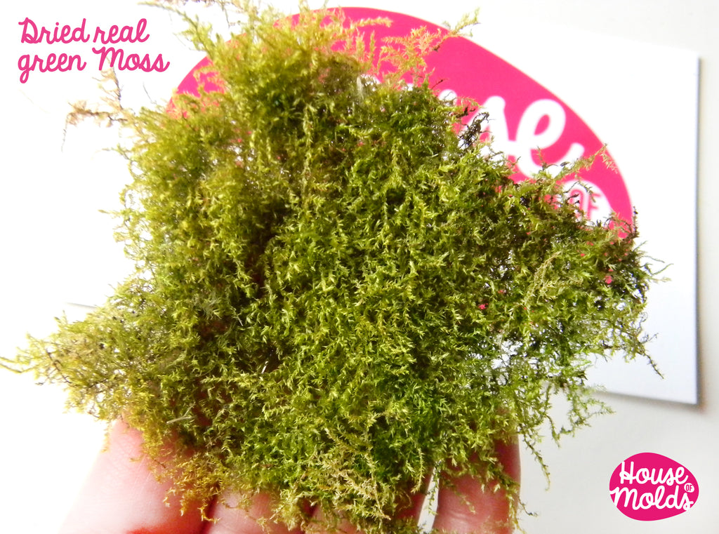 Dryed Natural Green Moss,ideal for any type of resin inclusions ,scrapbooking,home decoration art projects