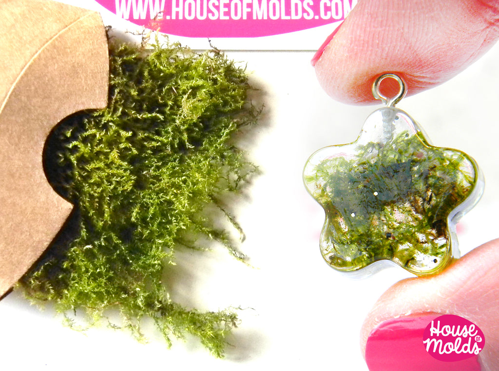 Dryed Natural Green Moss,ideal for any type of resin inclusions ,scrapbooking,home decoration art projects