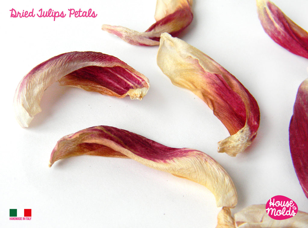 Tulip dried petals -ideal for any type of resin inclusions and art project -not pressed -  comes from Italy