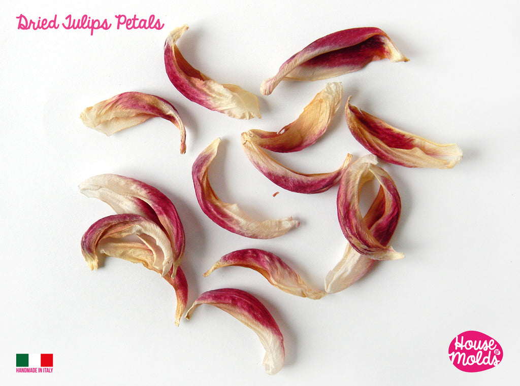 Tulip dried petals -ideal for any type of resin inclusions and art project -not pressed -  comes from Italy